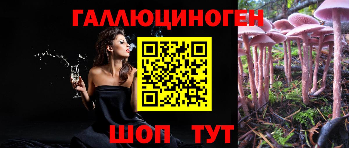 Псилоцибиновые грибы ЛСД  Вход с VPN  Курск 