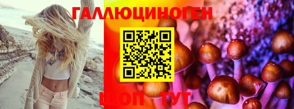 Псилоцибиновые грибы прущие грибы Курск